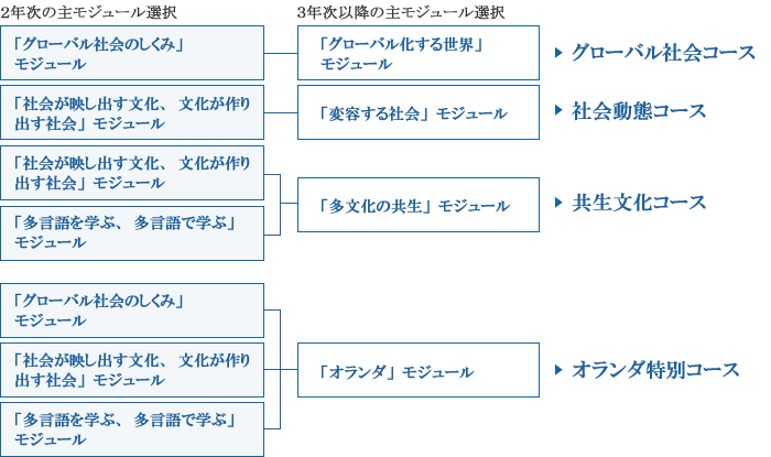モジュールの組み合わせとコース